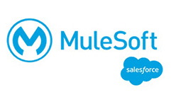 our partner Mulesoft